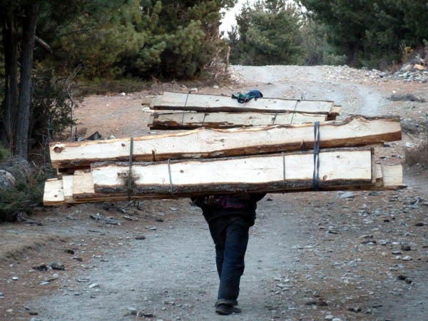 11 Porters carrying 9 25mm planks each
