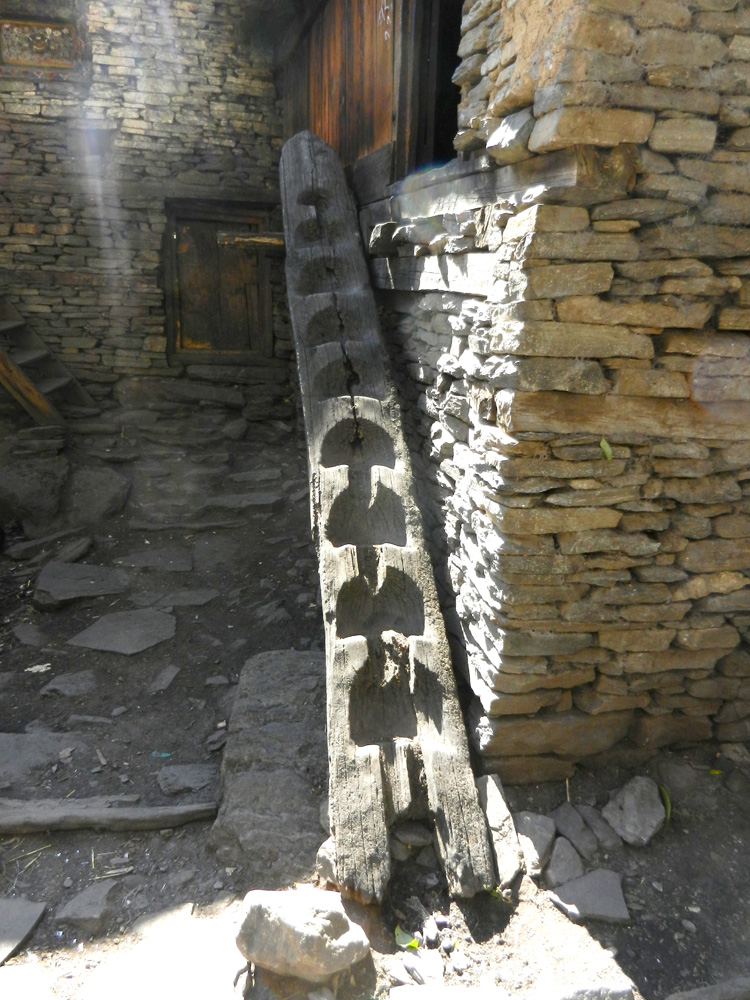 10 A traditional Nepali ladder tup to the first floor