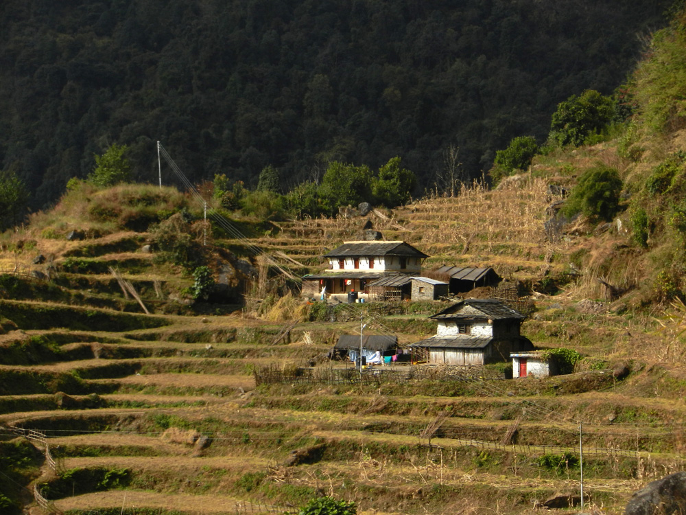 06 Gurung-style houses amid the fields
