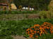 04 A fertile and very productive farm and garden