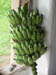 26 Bananas from Edwin